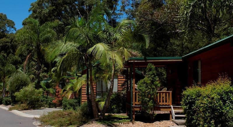 The Palms At Avoca Hotel Avoca Beach Exterior photo